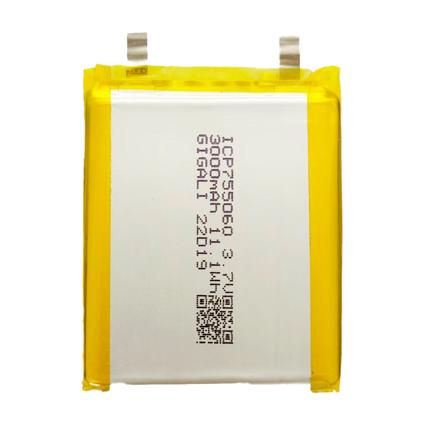 Gigalienergy-ICP755060 3.7V 3000mAh
